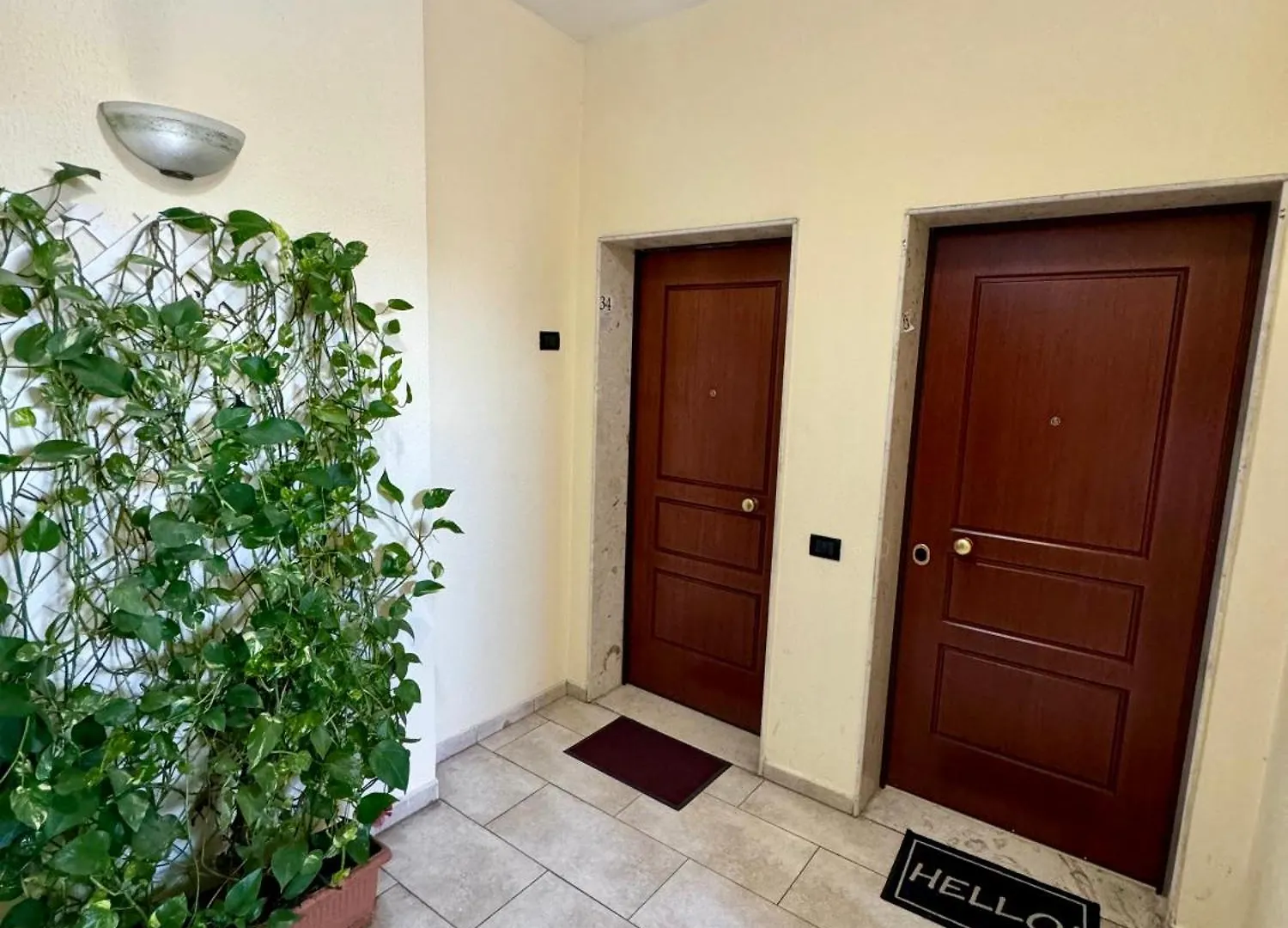 New Bazaar Cozy Apartment 3 Tirana Albania
